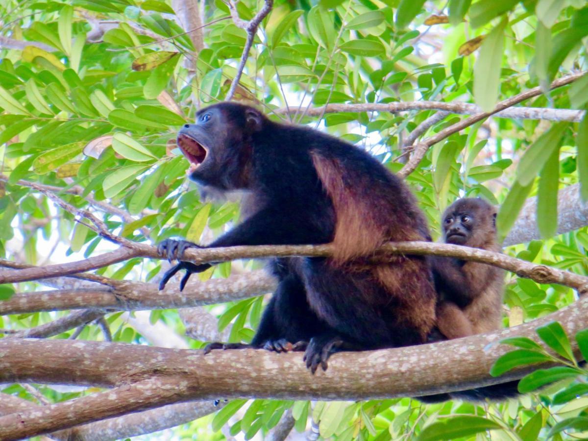 Villa Ometepe Mérida エクステリア 写真