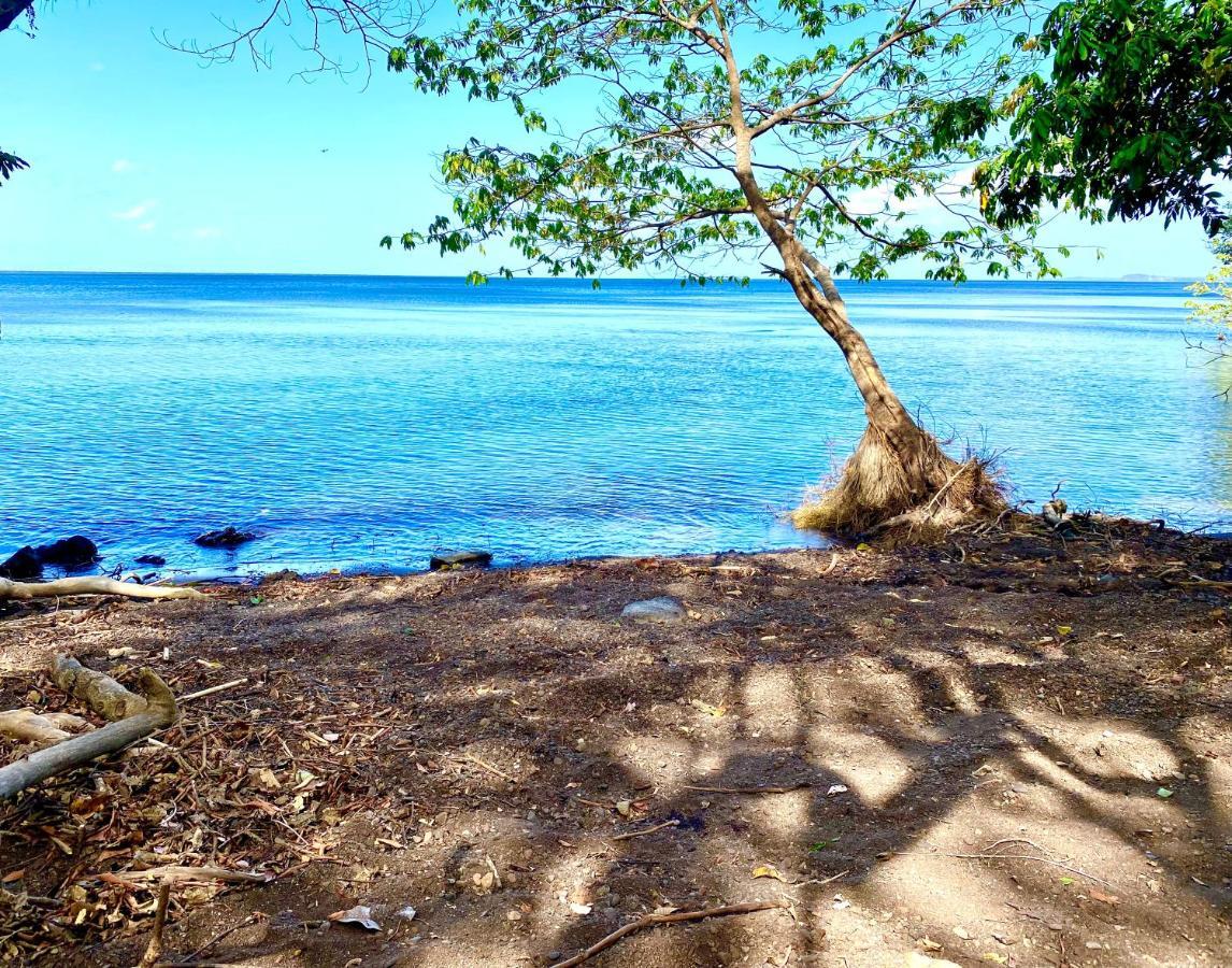 Villa Ometepe Mérida エクステリア 写真